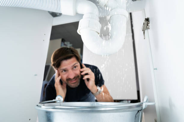Best Boilers & Radiators  in Mount Carmel, IL