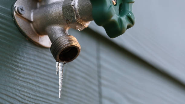 Best Leak Detection Services  in Mount Carmel, IL